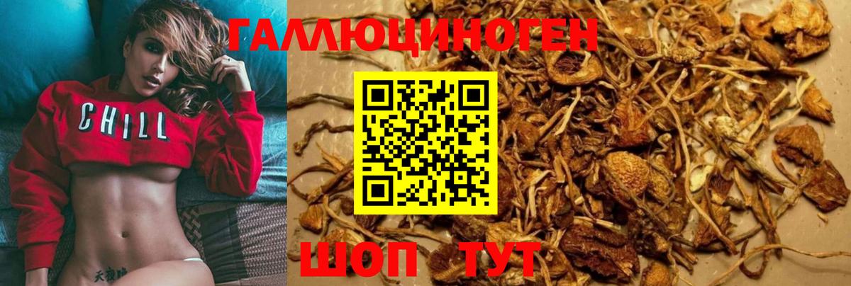 Псилоцибиновые грибы мицелий Воскресенск